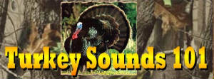 turkeysounds101.jpg